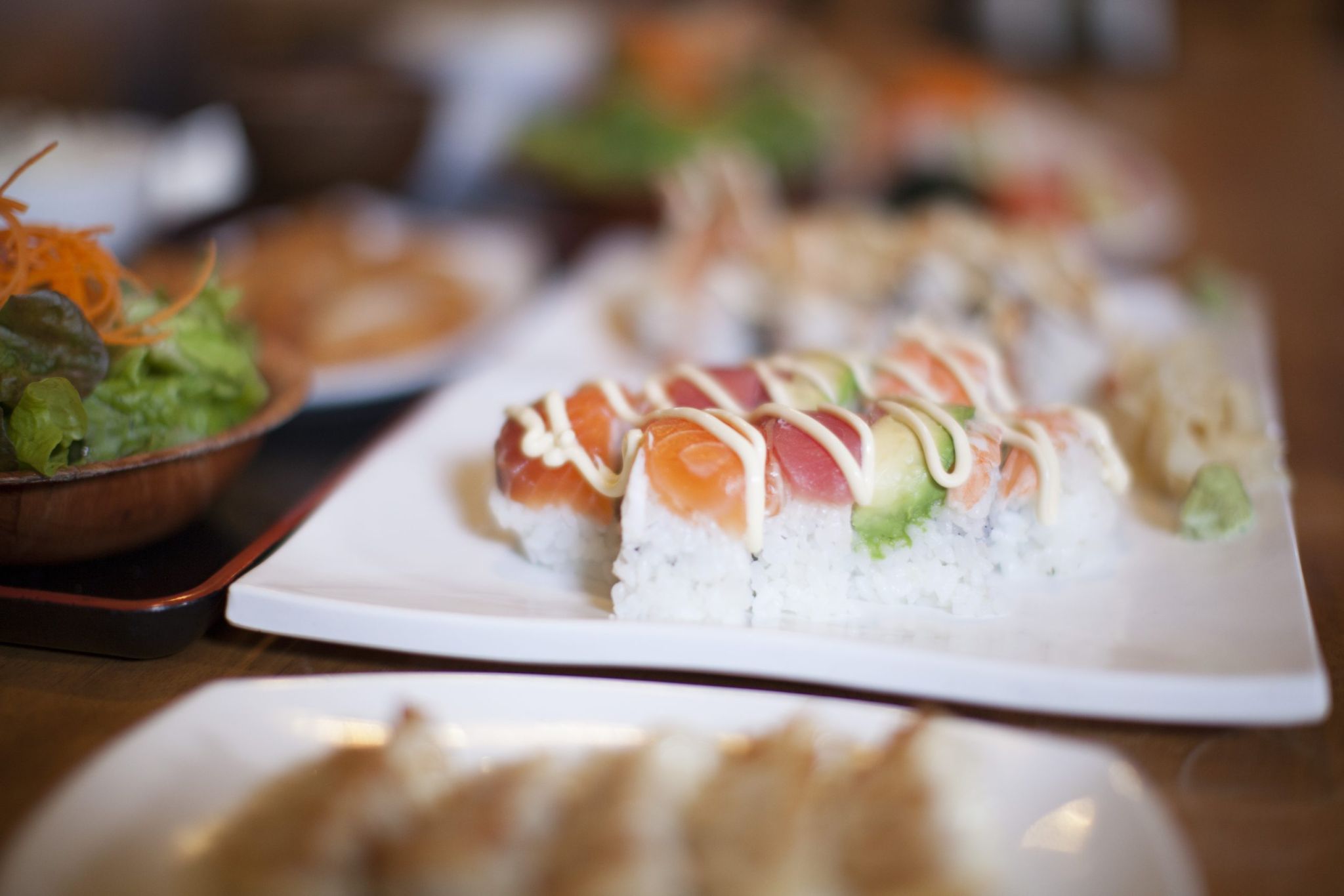 Sushi and gyoza